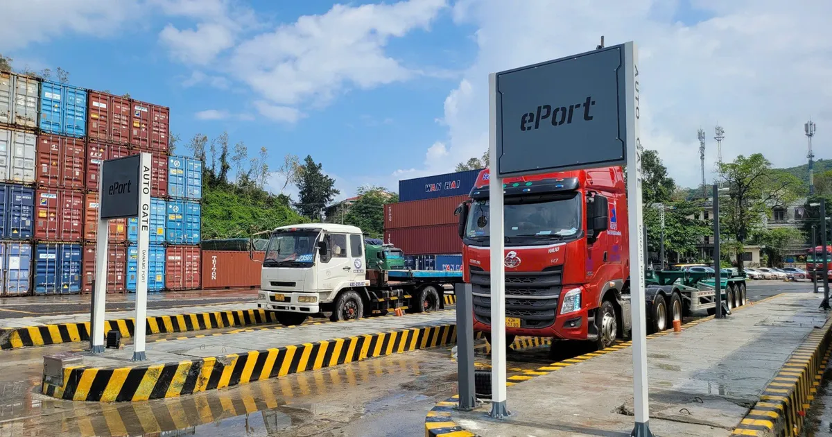 Da Nang has a logistics advantage, but lacks a sufficient flow of goods.