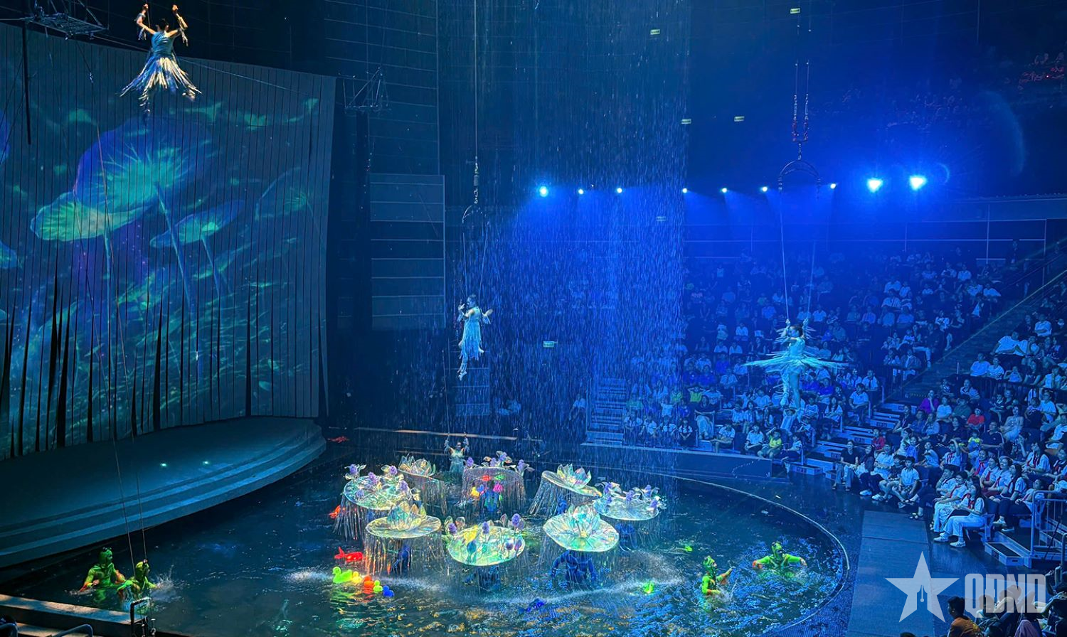 Impulsul succesului filmului „Dream Show”