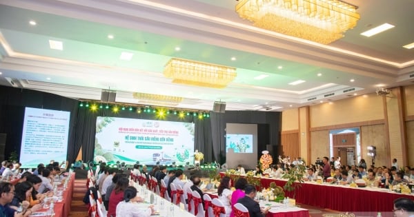 Sầu riêng trước yêu cầu nâng tầm giá trị xuất khẩu