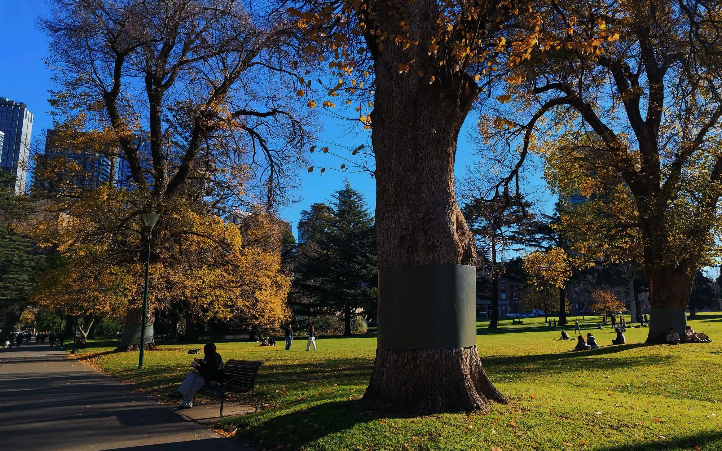 Melbourne trong sắc màu mùa đông. Ảnh: Nhi Phạm