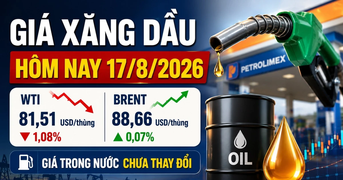 Giá xăng dầu ngày 17/8: WTI giảm, Brent duy trì trên 88 USD