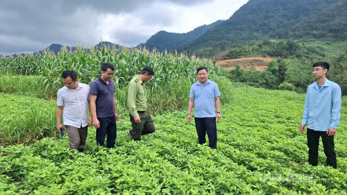 Thuong Nong wekt het potentieel van het hoogland tot leven.