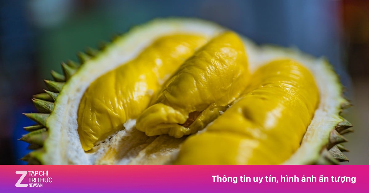 Thái Lan gặp khó, Campuchia đua xuất khẩu sầu riêng sang Trung Quốc