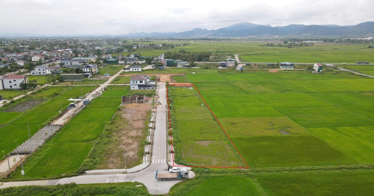 農村部の土地競売：残りの13区画には入札者がいない。