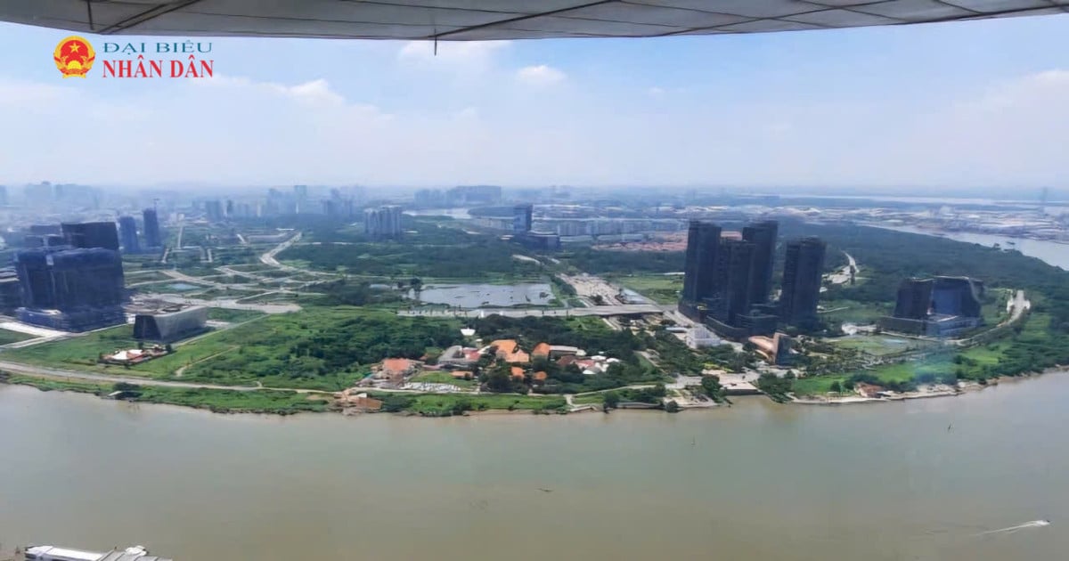 ホーチミン市：トゥーティエム新都市開発地区にある1万平方メートルを超える土地の競売。