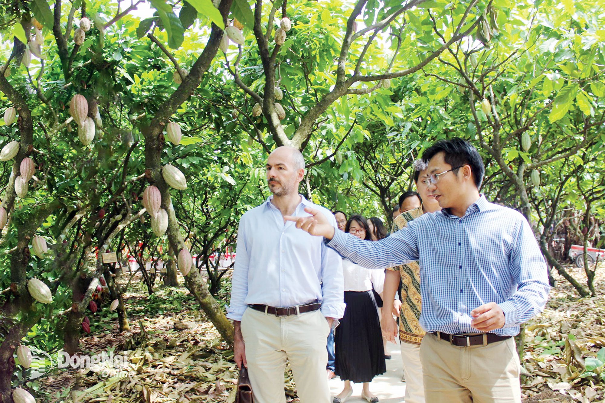Xuất khẩu nông sản: Thêm nhiều hàng rào kỹ thuật