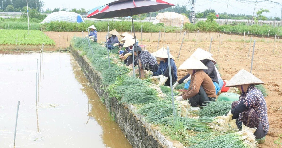 Nghe An Weather Forecast: Heavy Rain and Thunderstorms Predicted for August 21