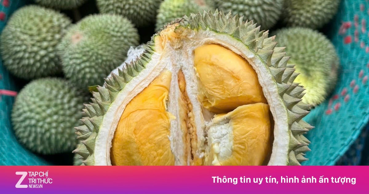 Lên 'kịch bản' cho quả sầu riêng Việt Nam