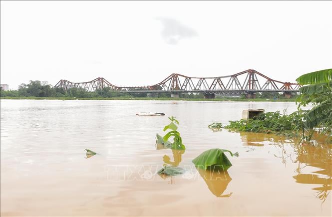 Hà Nội đang chủ động ứng phó với nguy cơ lũ trên các sông.