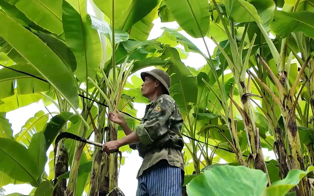 তুয়েন কোয়াং: সংশোধিত অপরাধীদের সমাজে পুনঃএকত্রীকরণে সহায়তা ও সহযোগিতা  করা।