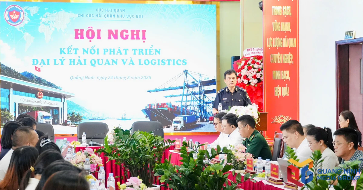 Hội nghị kết nối phát triển đại lý hải quan và logistics