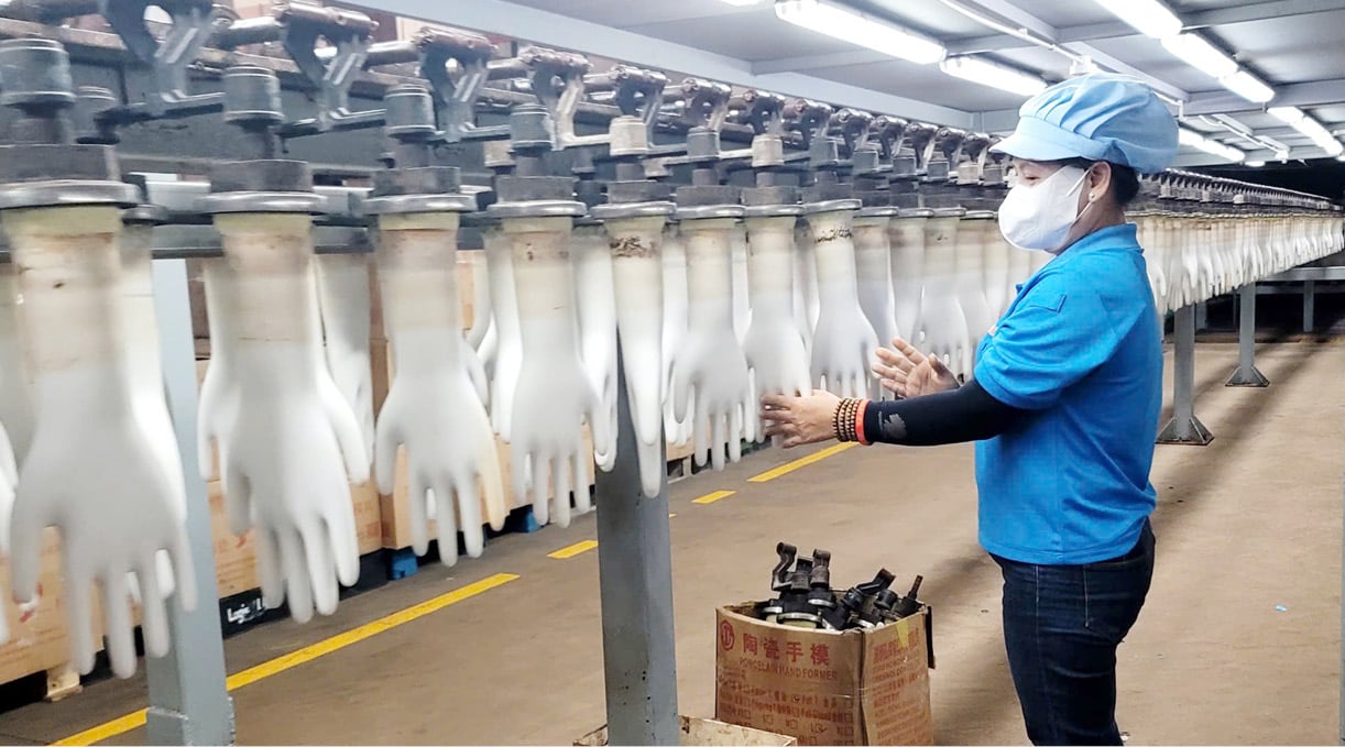 Huế: Mở rộng dư địa logistics, thúc đẩy xuất khẩu