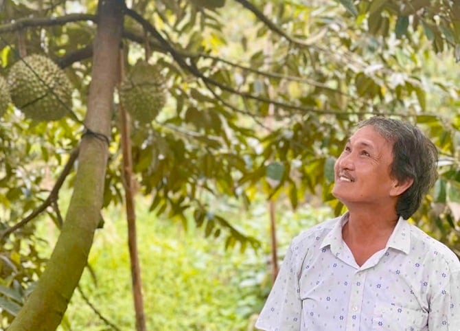 Giải pháp để ‘trái cây vua’ giữ vững vị thế
