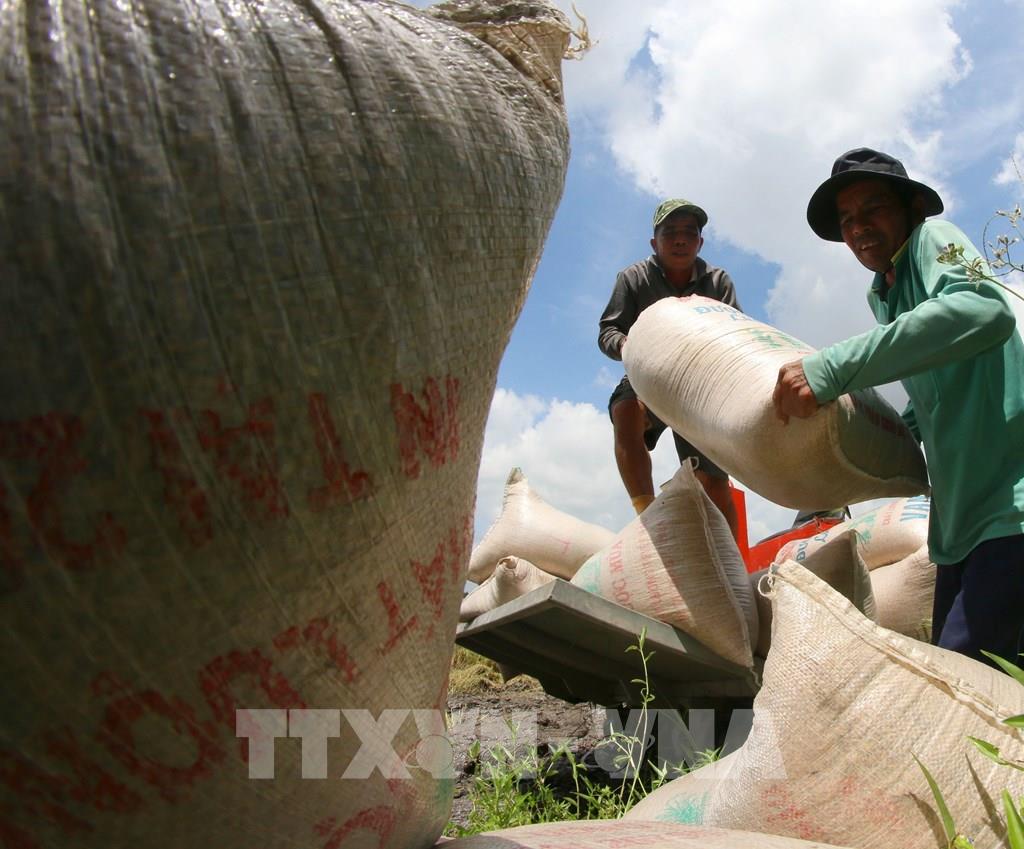 Vietnam bevordert de samenwerking en lost handelsbelemmeringen op in de rijsthandel met de Filipijne