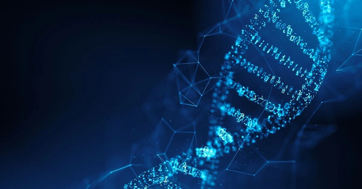 IA descifrează „comutatorul” genetic din ADN.
