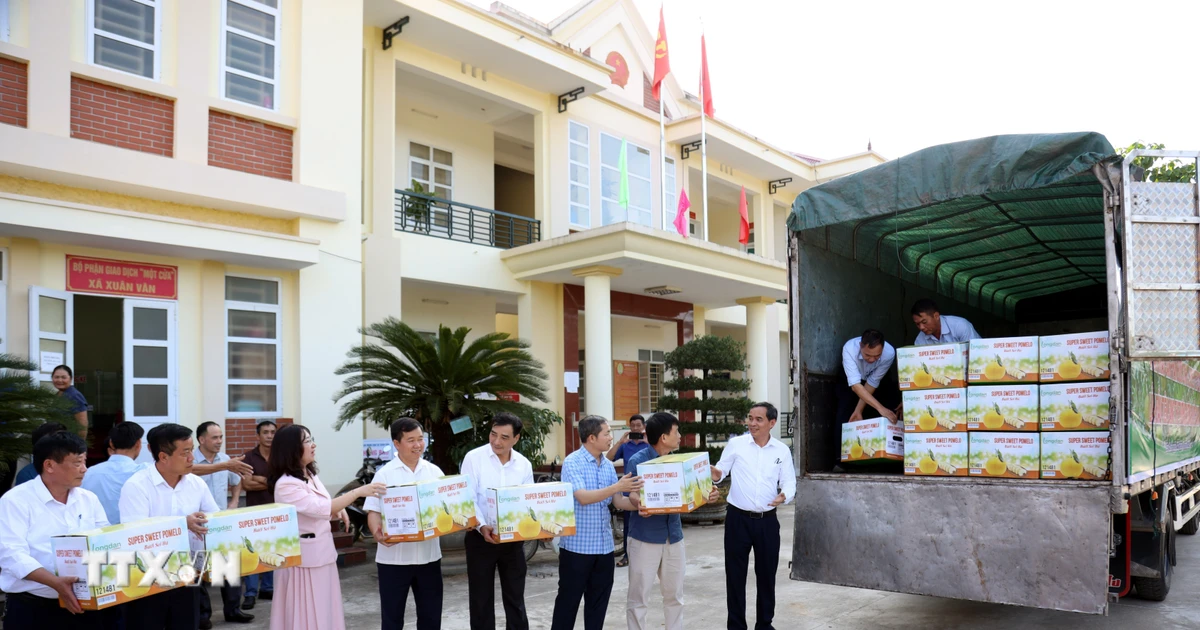 Xúc tiến thương mại tạo lực đẩy đưa nông sản Việt vươn xa