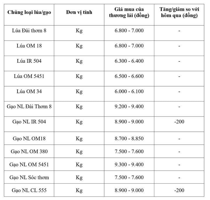Export Comment Rice prices today, August 27, 2026: Export rice prices decrease.