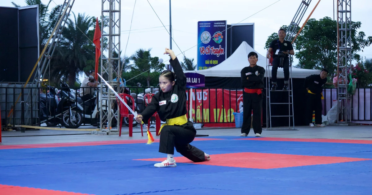 Gia Lai Athletes to Compete in 2026 World Vovinam and Traditional Martial Arts Championships in Italy