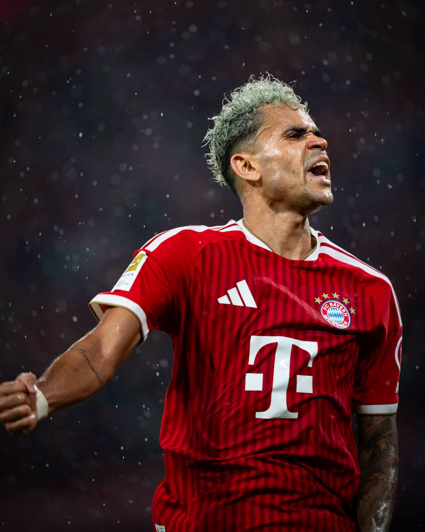 FC Bayern バイエルン・ミュンヘン ムシアラ ブンデスリーガ 楽天市場
