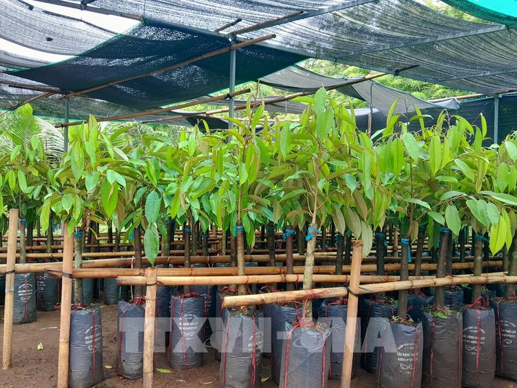 Cắt giảm hàng loạt thủ tục, điều kiện kinh doanh trong lĩnh vực nông nghiệp, môi trường