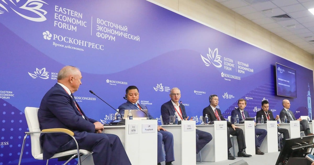 Proposal to establish a Far East - Vietnam - ASEAN logistics corridor.