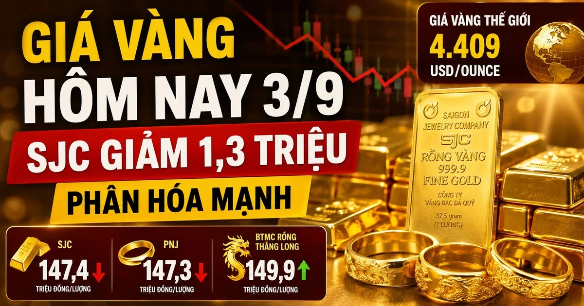 Giá vàng SJC giảm mạnh 1,3 triệu đồng/ounce sáng 3/9/2026