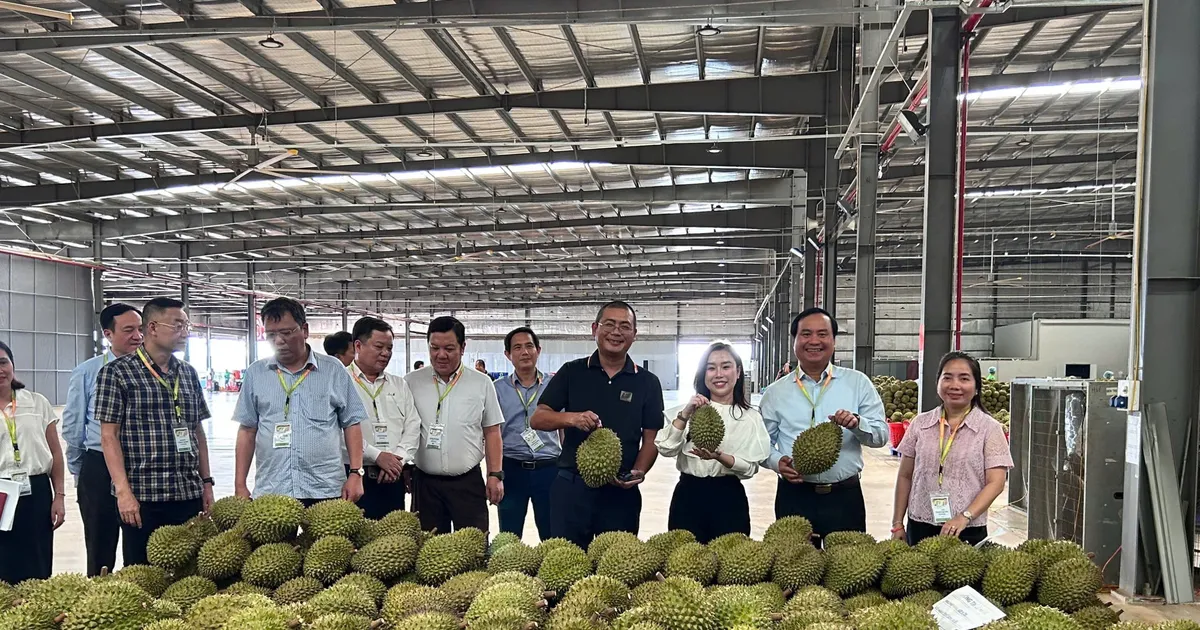 8 tháng: Xuất khẩu nông, lâm, thủy sản đạt khoảng 49 tỷ USD, tăng 7%
