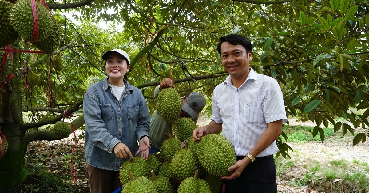 Nông, lâm, thủy sản xuất siêu hơn 14 tỷ USD
