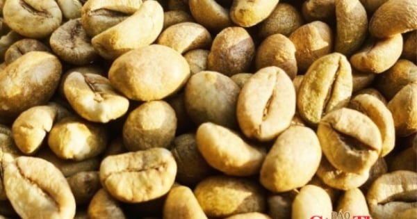 Nguồn cung cải thiện, giá cà phê thế giới giảm phiên thứ ba liên tiếp