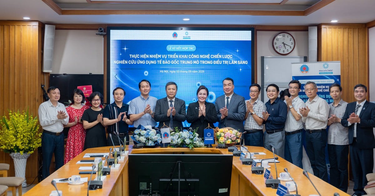 Joint Research on Clinical Application of Mesenchymal Stem Cells in Vietnam