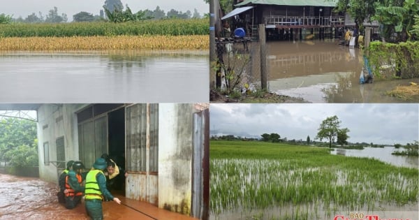 Gia Lai: Door de aanhoudende hevige regenval staan ??velden en huizen onder water.
