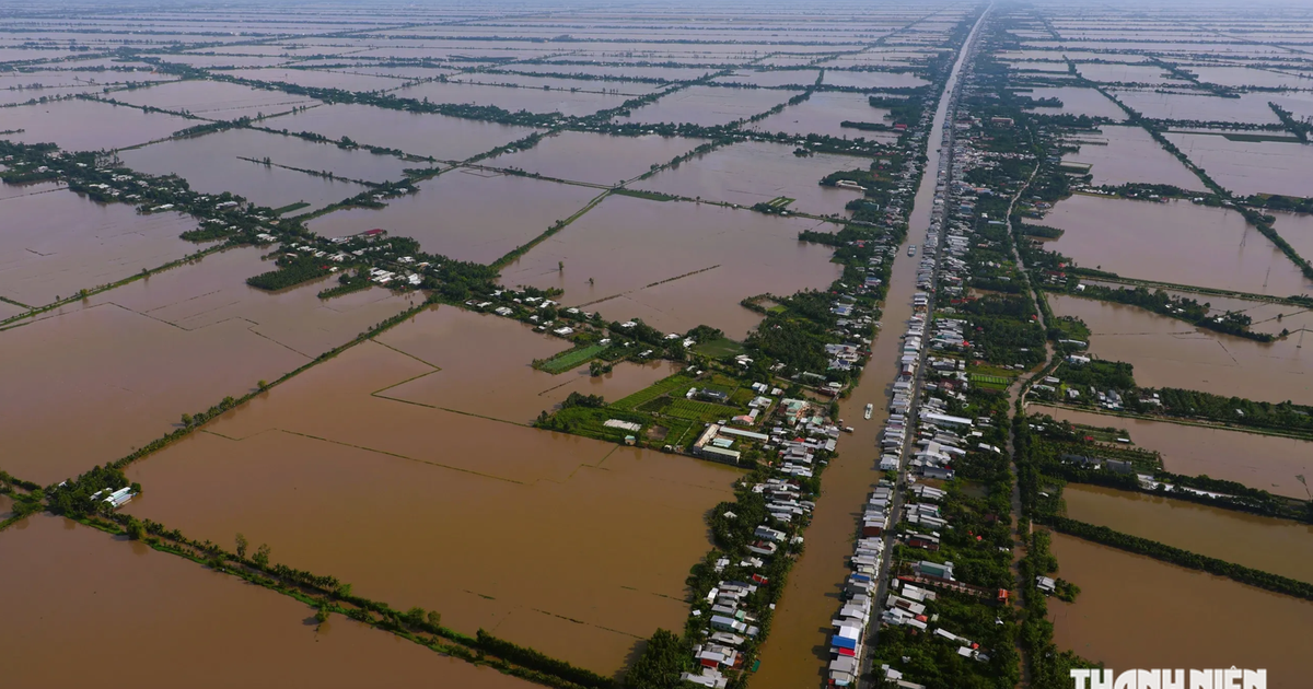 Ondanks de lage waterstand staan ??veel velden in de Mekongdelta onder water; hoe kan dat?