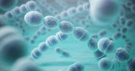 Pneumokokus yang resisten terhadap obat semakin meningkat, sehingga anak-anak kecil berisiko terkena penyakit parah.