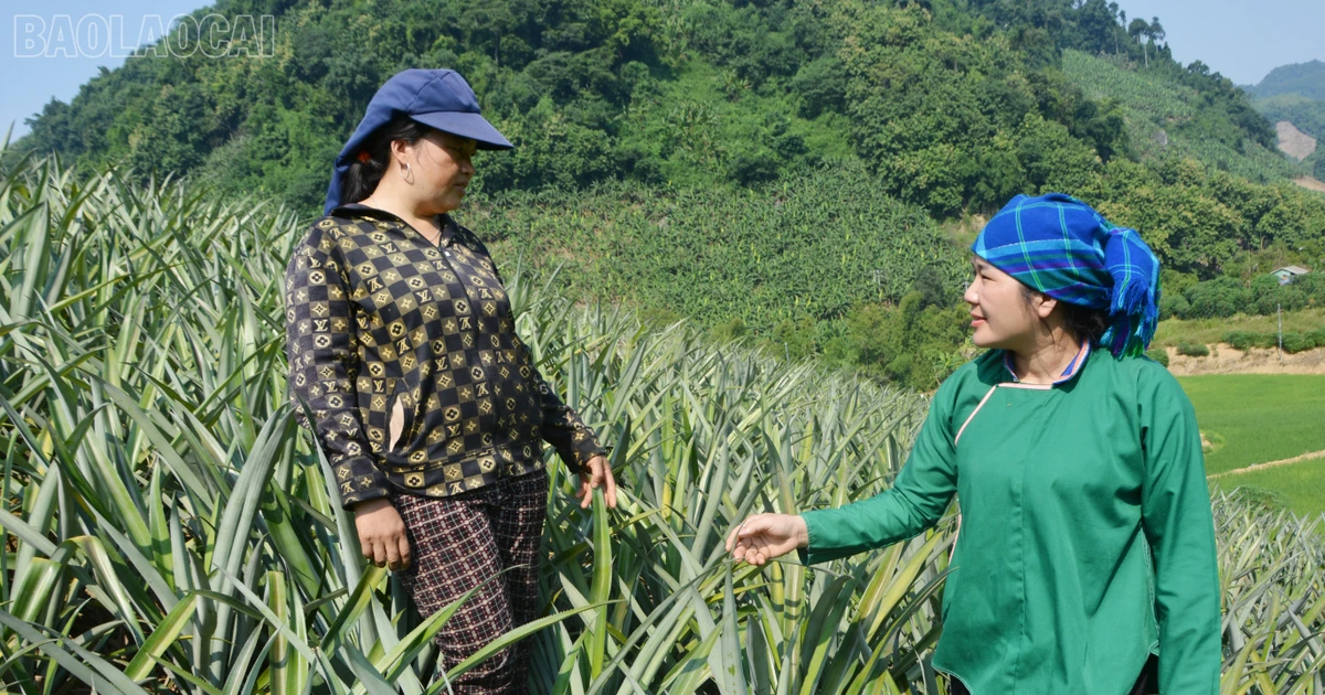 Meningkatkan peran "inti" sekretaris cabang Partai.