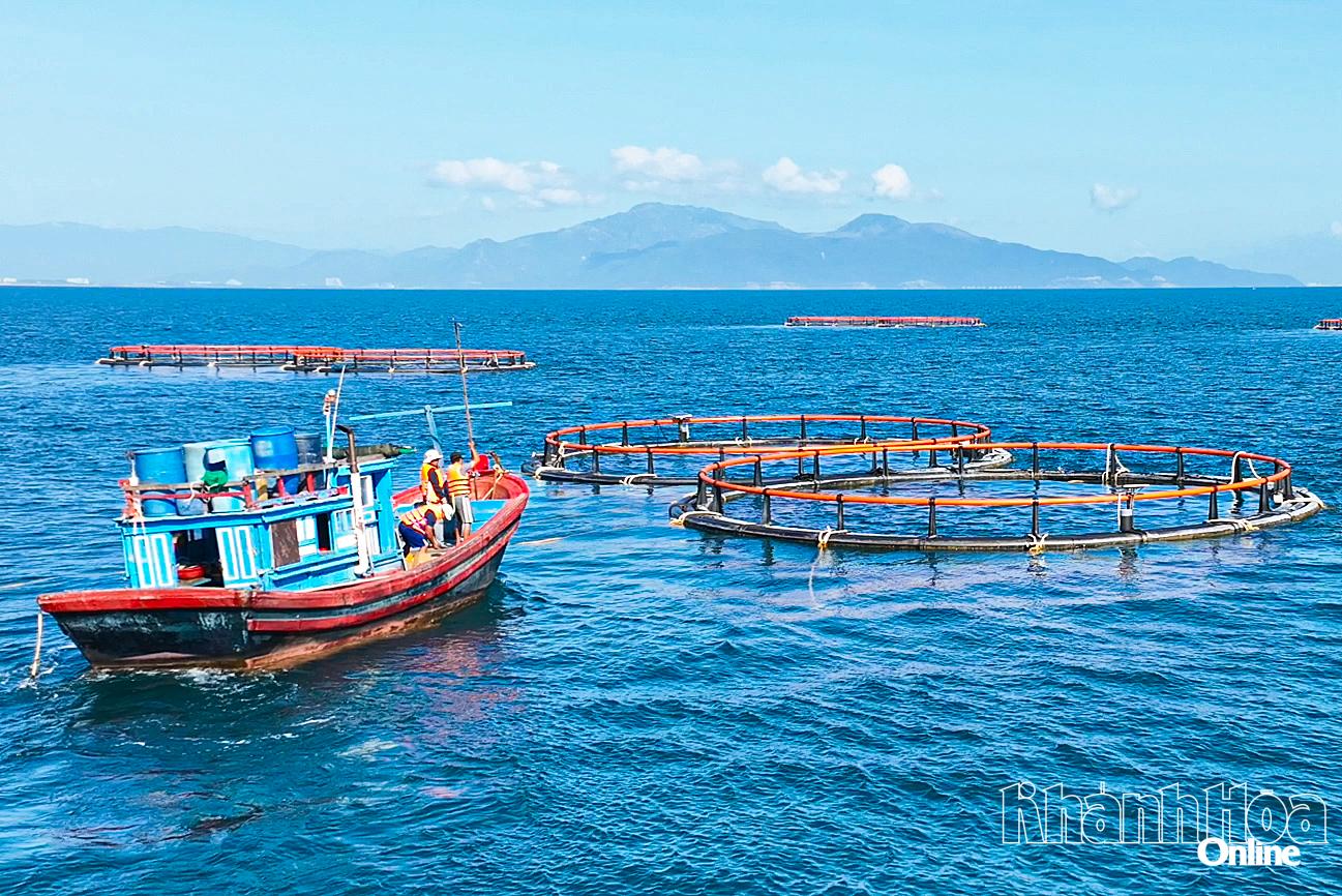 A aquicultura de alta tecnologia está sendo realizada em Hon Noi (bairro de Nha Trang).
