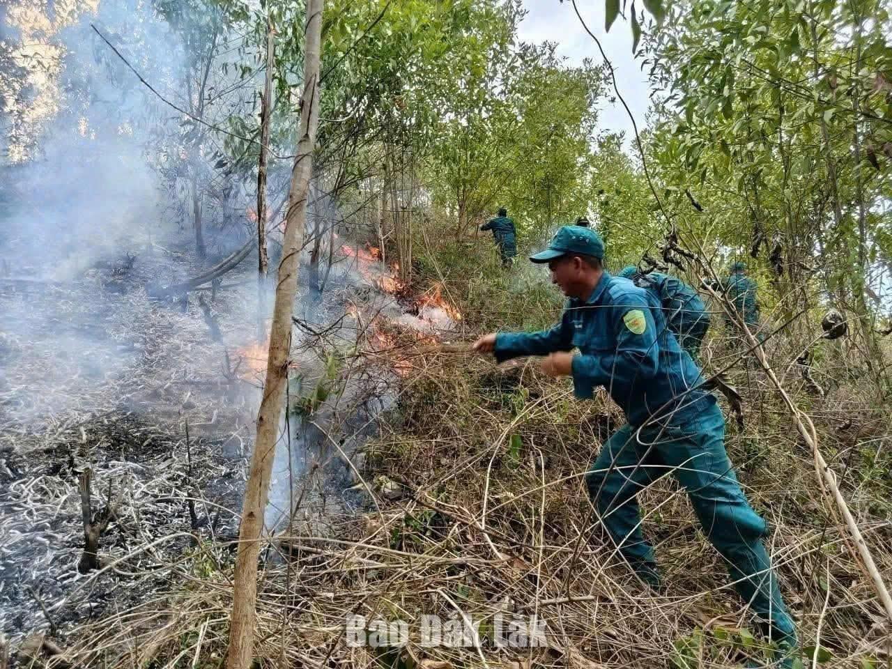 Meningkatkan kemampuan pencegahan kebakaran hutan dalam menghadapi cuaca ekstrem.
