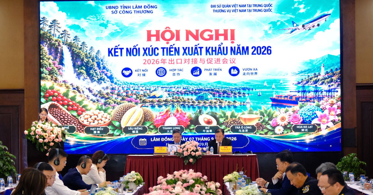 De provincie Lam Dong versterkt de banden en bevordert de export naar de Chinese markt.