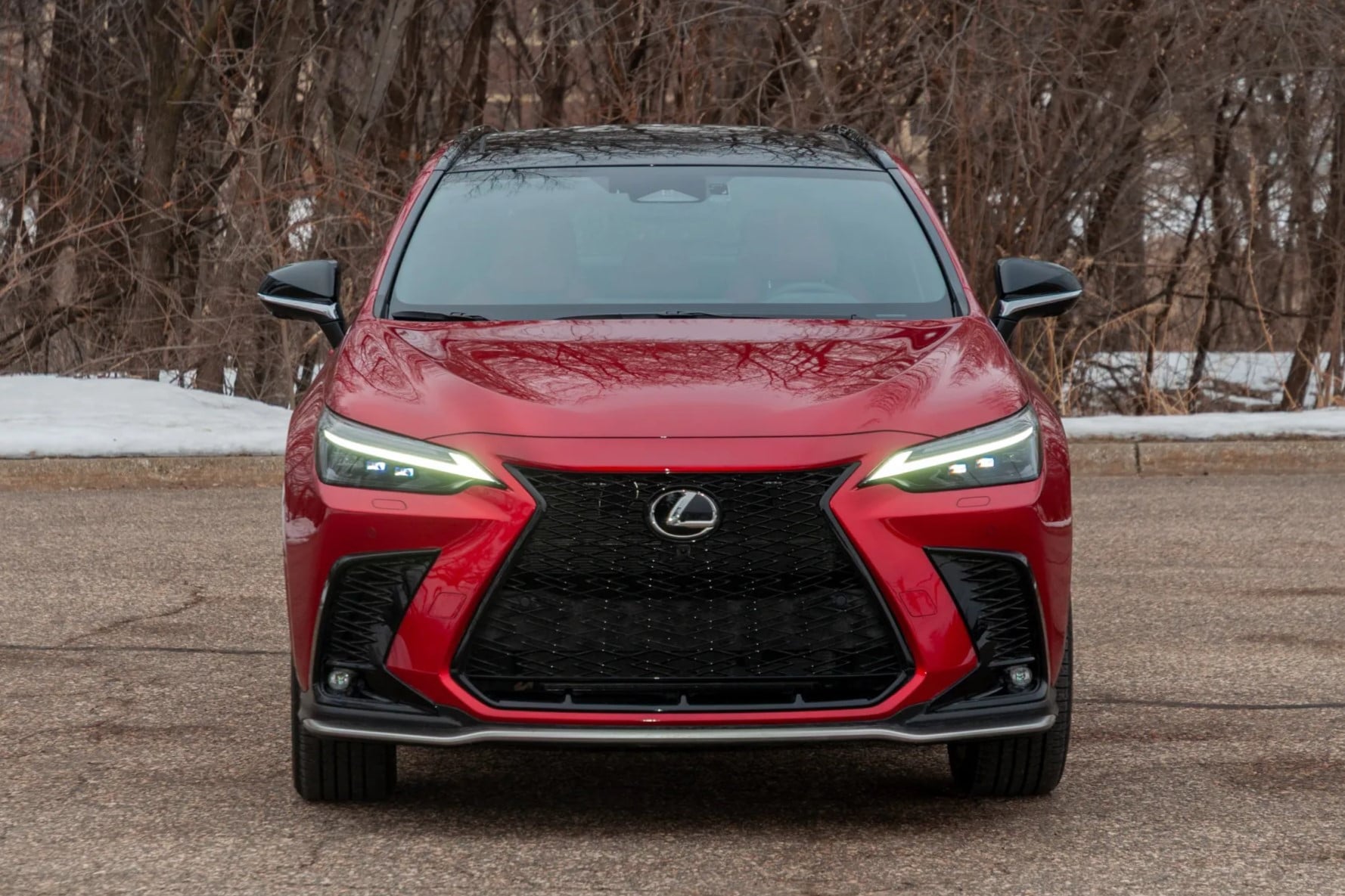 Lexus NX 350h (9).jpg