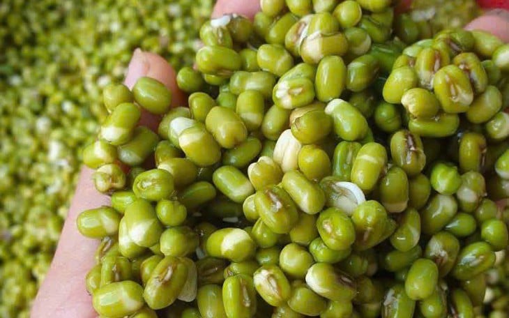 5 types of iron-rich beans that are good for vegetarians - Photo 2.