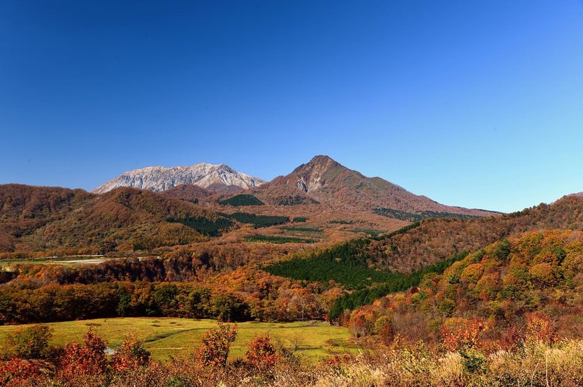 Japan in autumn, countless trees change their colors - Photo 3.