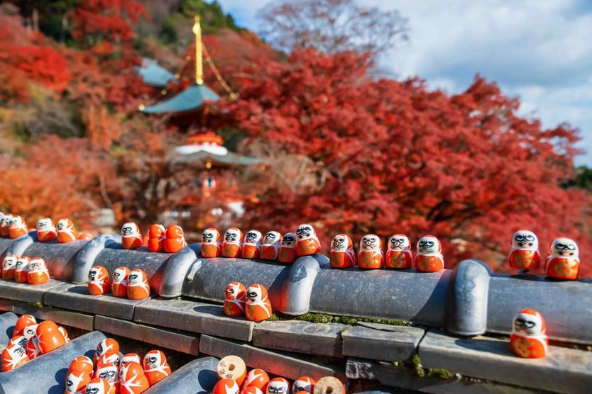 Japan in autumn, countless trees change their colors - Photo 7.
