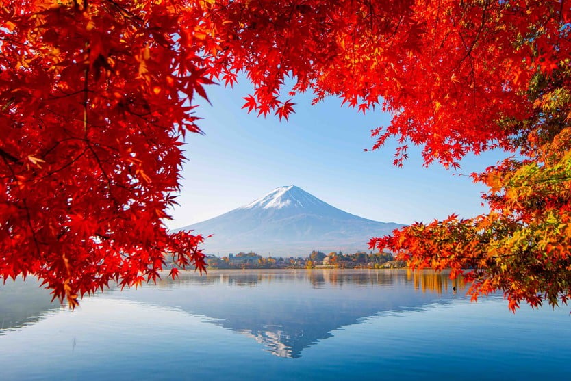 Japan in autumn, countless trees change their colors - Photo 9.