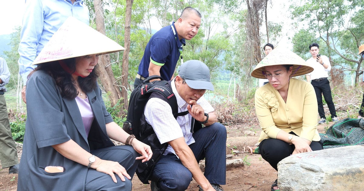 Da Nang bewaart en bevordert de waarde van twee verdedigingswerken uit de Nguyen-dynastie.