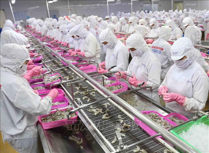 Vietnam-Frankrijk: een nieuwe impuls voor de ontwikkeling van handel en investeringen.