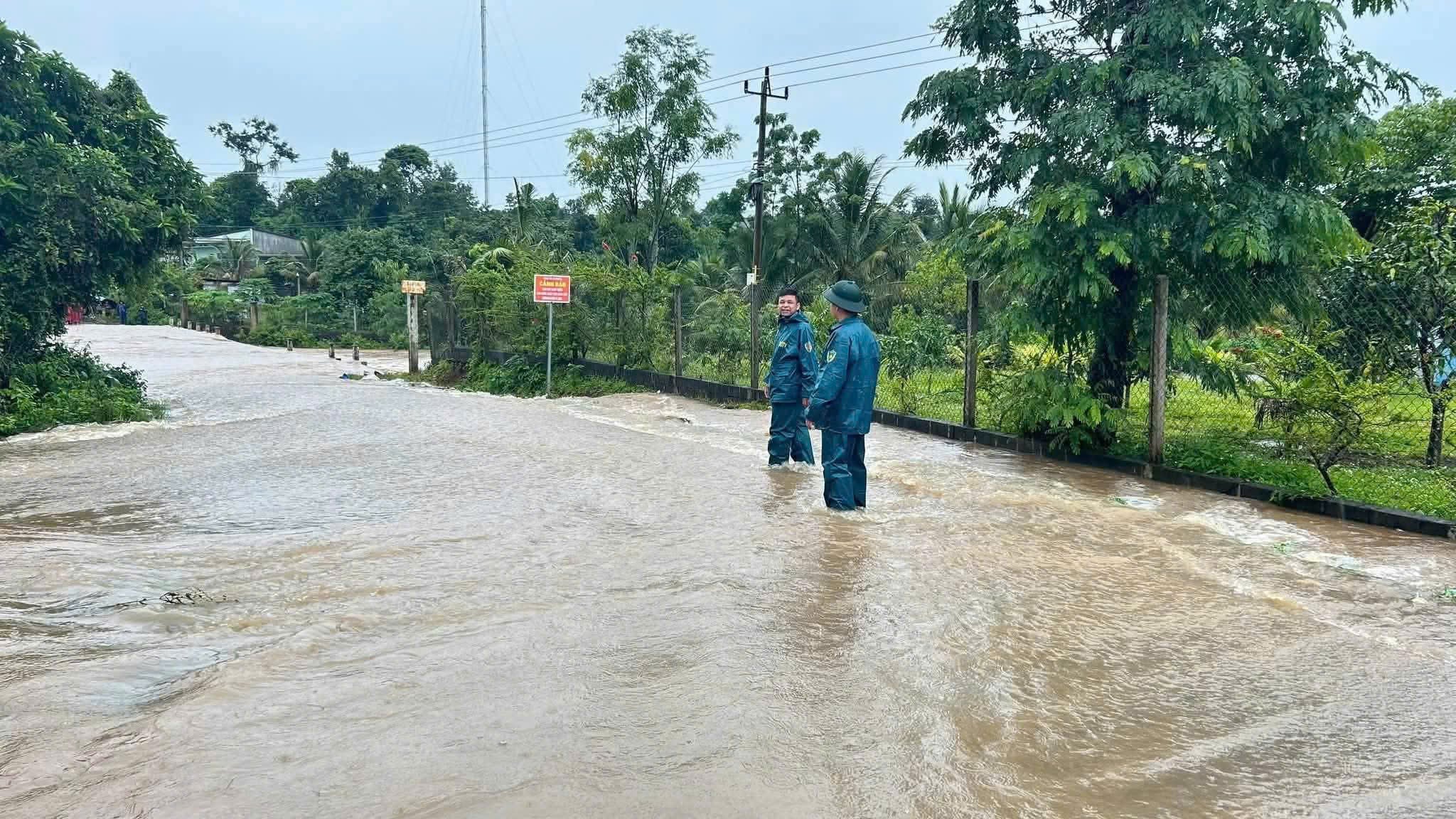 Bersikap proaktif dalam menanggapi hujan lebat dan memastikan keselamatan di daerah rawan banjir lokal.