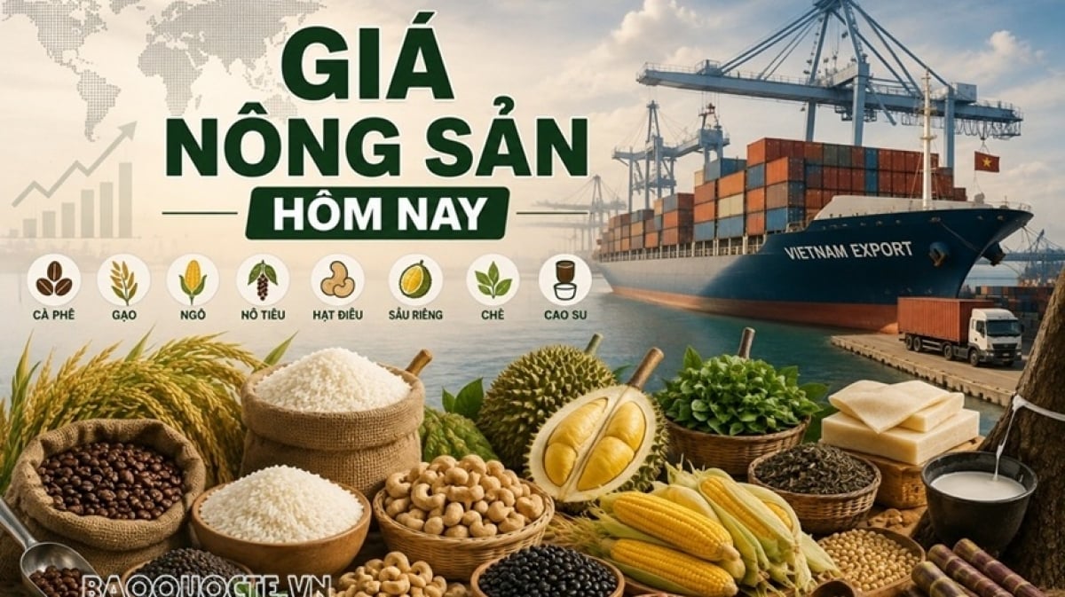 Vietnam.vn - Nền tảng quảng bá Việt Nam