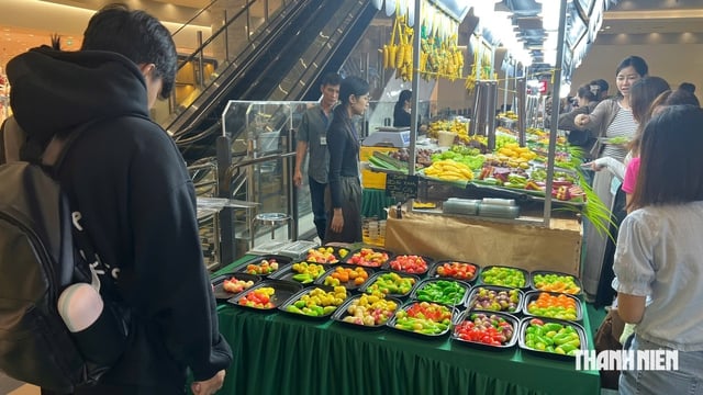Jovens comparecem em massa ao festival vegano, divulgando um estilo de vida ecológico - Foto 3.