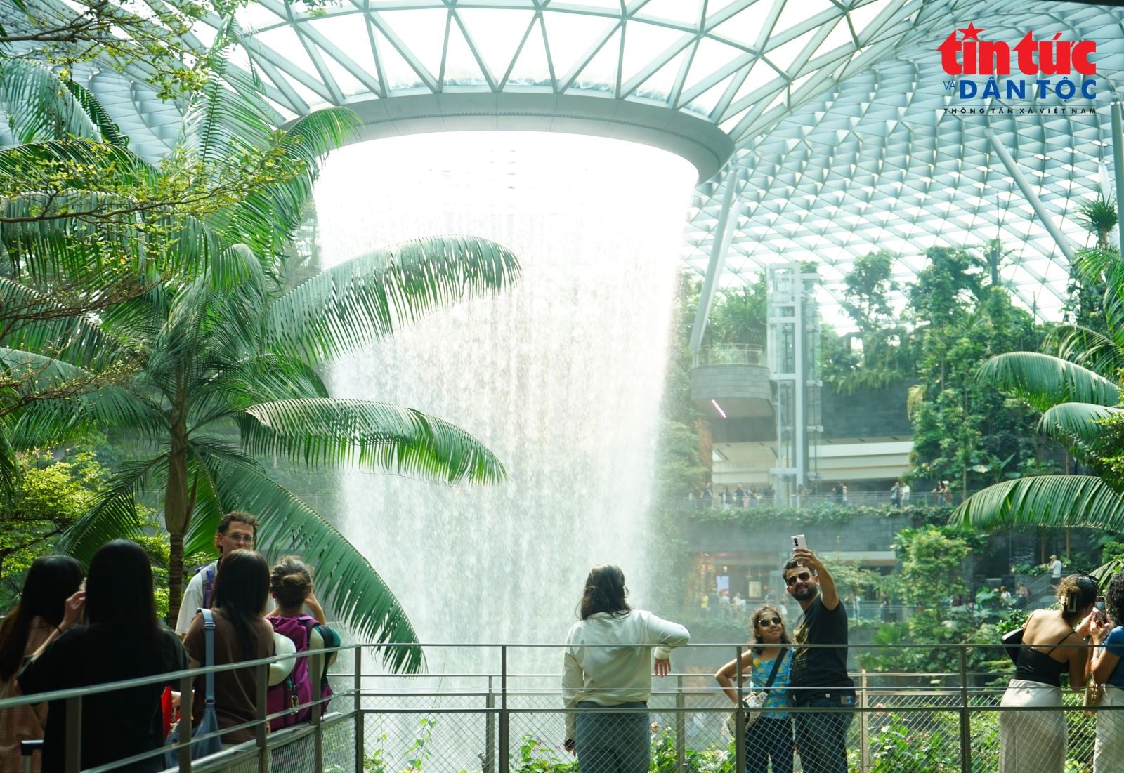 シンガポール空港の中央に位置する、世界最大の人工滝を堪能しよう。
