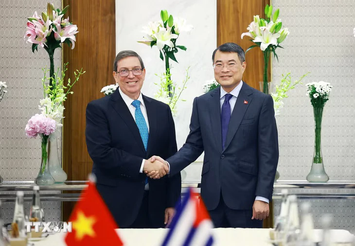 Vietnam ist bereit, alles in seiner Macht Stehende zu tun, um Kuba zu unterstützen - Foto 2.