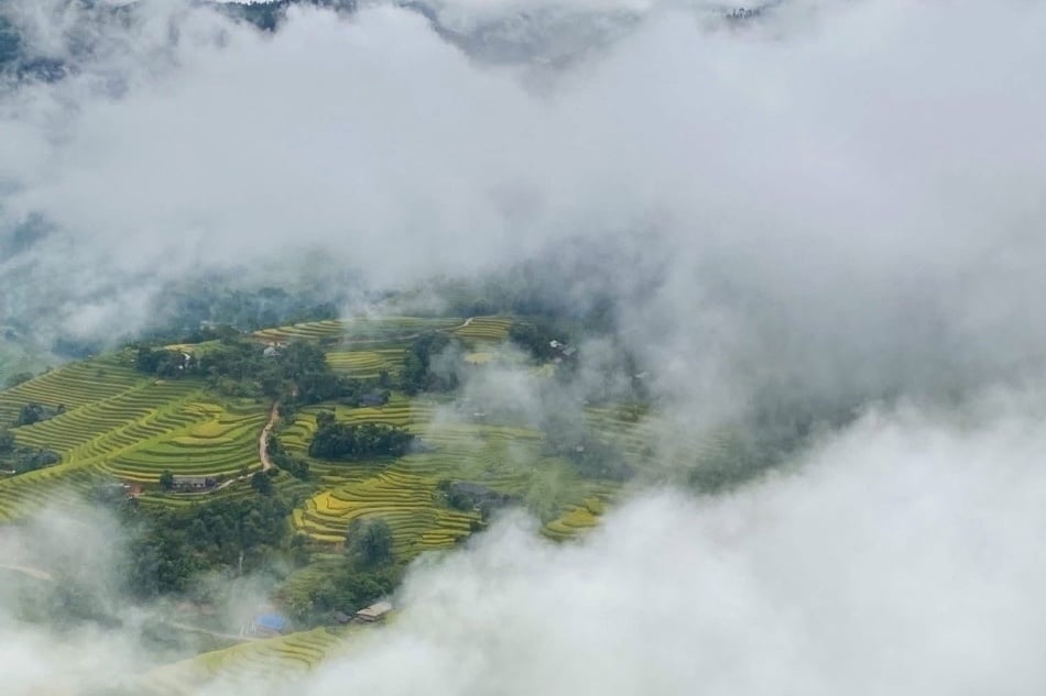 Vietnam, tourist destination (photo 8)
